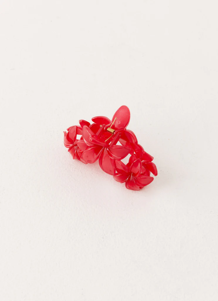 Graffetta per Capelli Goji - Fragola